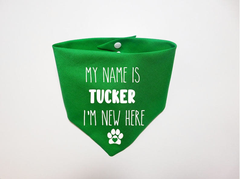 May include: Green dog bandana with white text that says "My name is Tucker I'm new here" and a white paw print with a red heart.