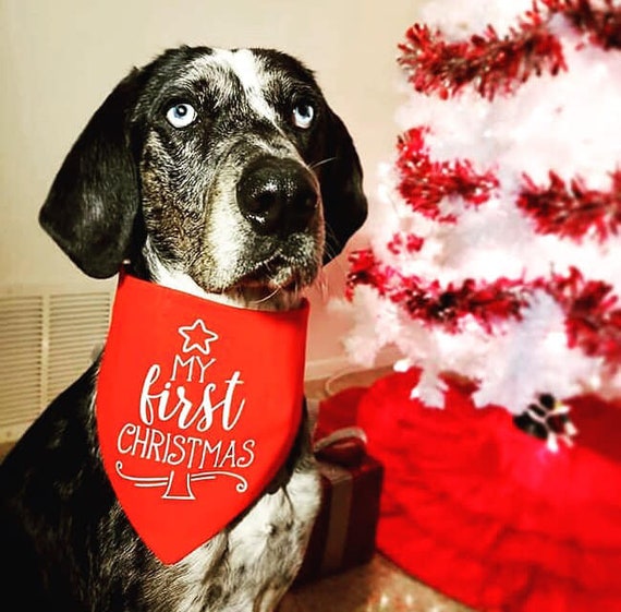 My first sale christmas dog bandana