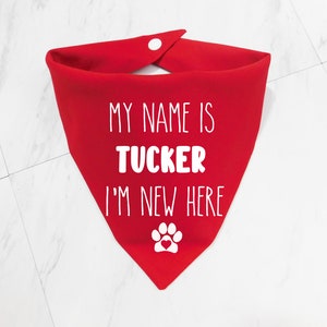 May include: Red dog bandana with white text that says "My name is Tucker I'm new here" and a white paw print with a red heart in the centre.
