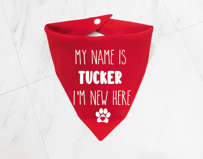 May include: Red dog bandana with white text that says "My name is Tucker I'm new here" and a white paw print with a red heart in the centre.