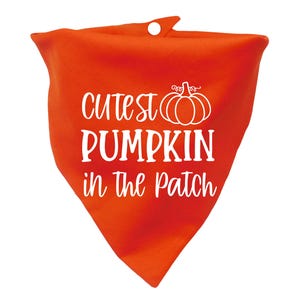 Halloween Dog Bandana - Cutest Pumpkin in the Patch Dog Bandanna - Pumpkin Puppy Scarf - Spooky Cat Scarf - Snap Dog Bandana