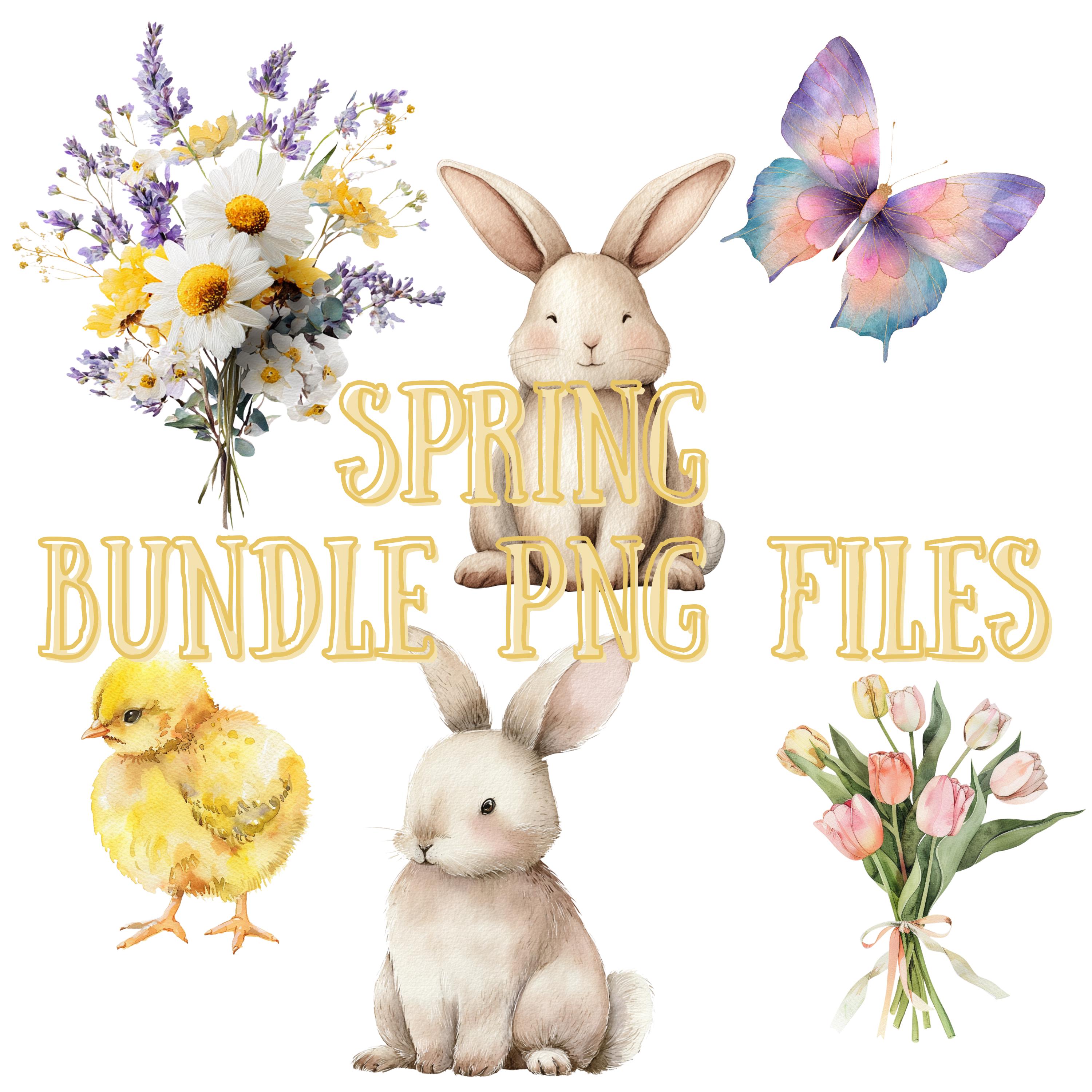 Spring Watercolor Clipart Bundle PNG Files - Easter Bunny, Chick ...