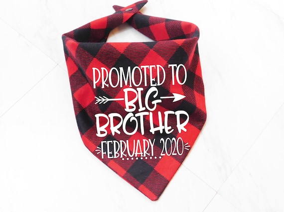 promoted to big brother dog bandana