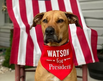 May include: A brown and tan dog wearing a red bandana with the text "WATSON for President" is sitting in front of an American flag.