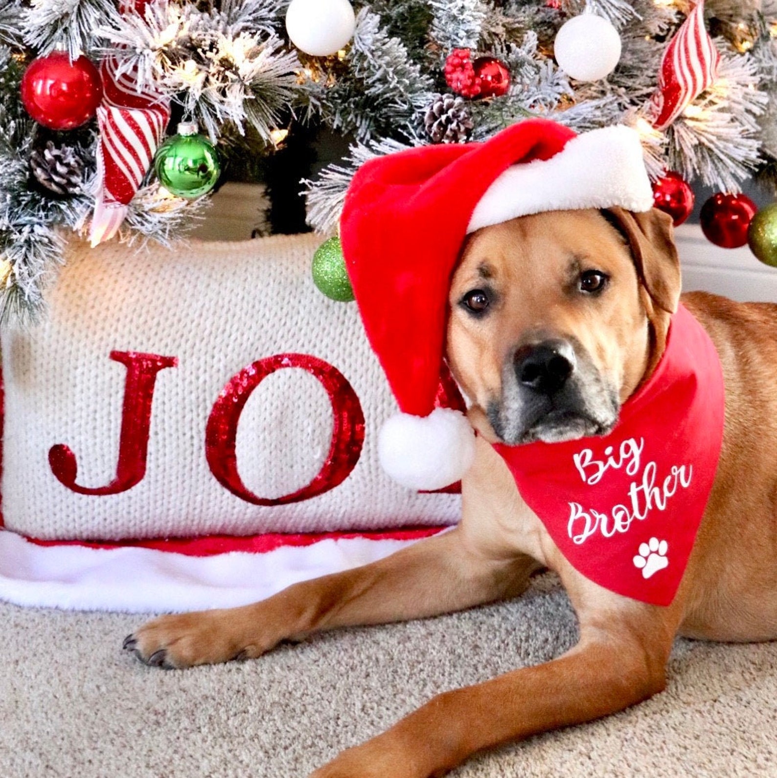 Big Brother Dog Bandana Whoa Dog E Etsy