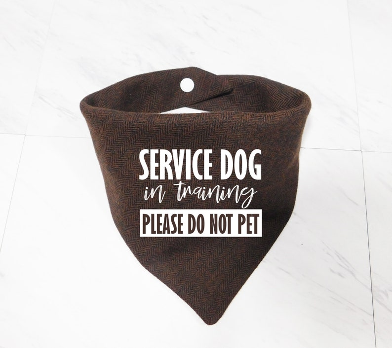 Service Dog in Training Bandana Service Dog in Training Etsy