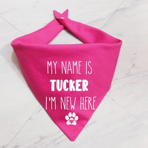 May include: Pink dog bandana with white text that reads "My name is Tucker I'm new here" and a white paw print with a pink heart in the centre.