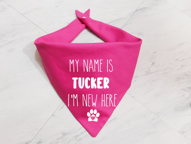 May include: Pink dog bandana with white text that reads "My name is Tucker I'm new here" and a white paw print with a pink heart in the centre.