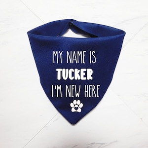 May include: A blue dog bandana with white text that reads "My name is Tucker I'm new here" and a white paw print with a red heart.