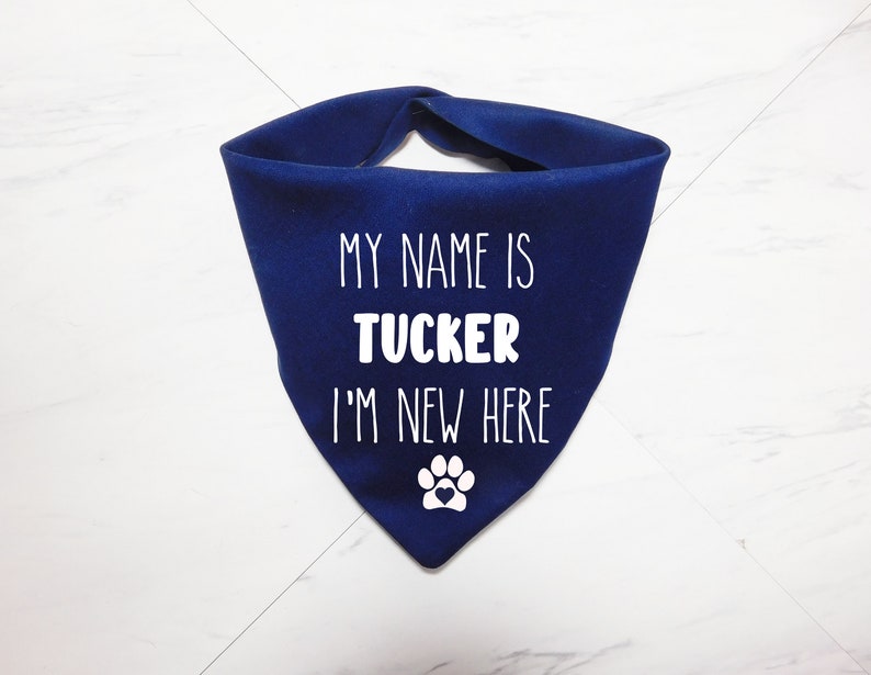 May include: A blue dog bandana with white text that reads "My name is Tucker I'm new here" and a white paw print with a red heart.