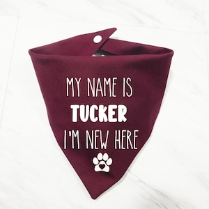 May include: Burgundy red dog bandana with white text that reads "My name is Tucker I'm new here" and a white paw print with a heart in the centre.