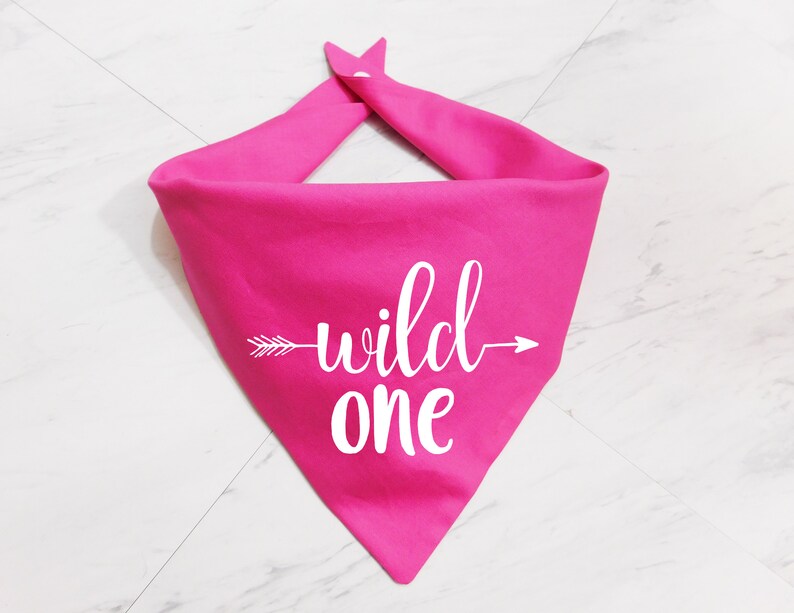 Girl Dog Birthday Bandana Wild One Birthday Dog One Year Old Dog Bandana Birthday Dog Scarf First Year Dog Bandana