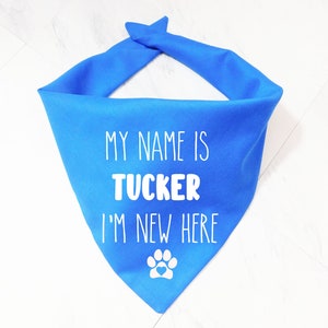 May include: A blue dog bandana with white text that reads "My name is Tucker I'm new here" and a white paw print with a red heart.