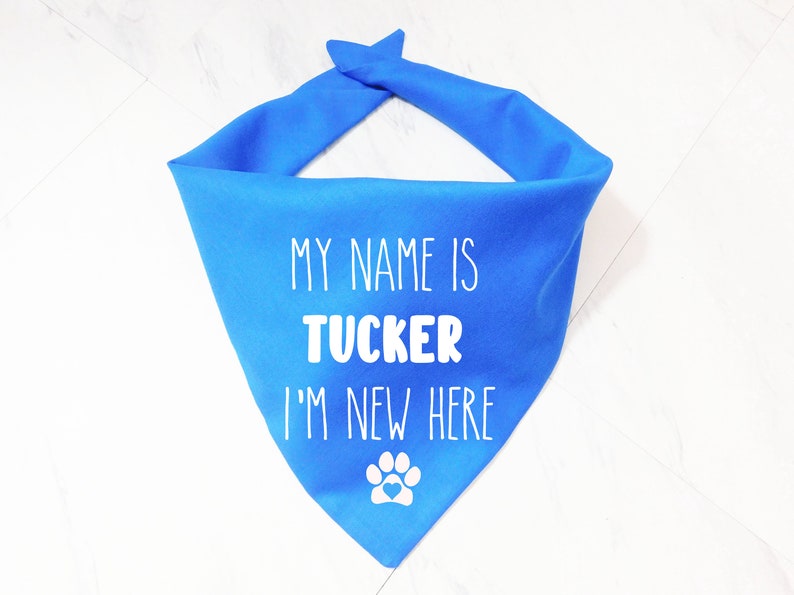 May include: A blue dog bandana with white text that reads "My name is Tucker I'm new here" and a white paw print with a red heart.