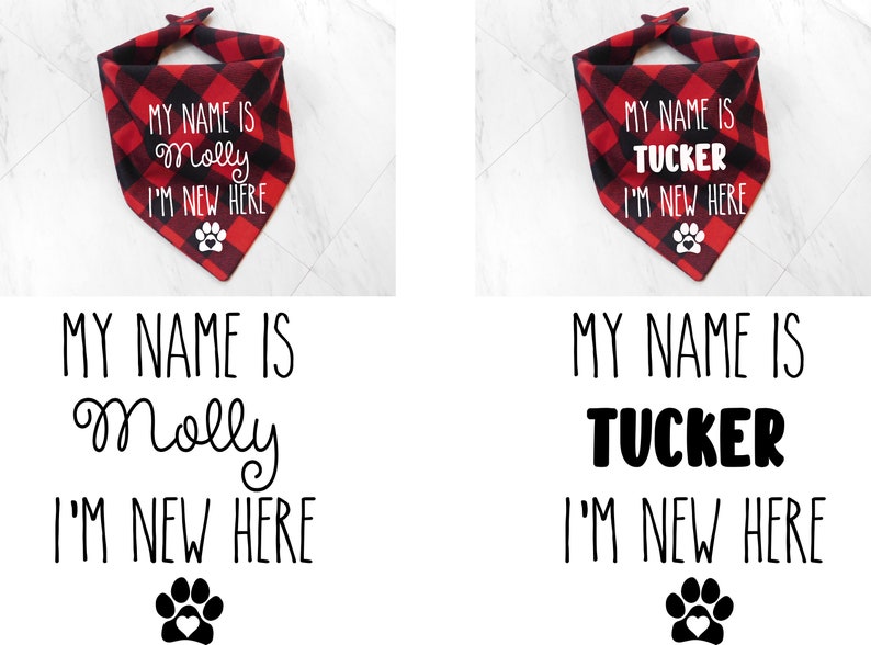 May include: Two red and black plaid dog bandanas with white text. The first bandana says "My name is Molly I'm new here" and the second bandana says "My name is Tucker I'm new here".