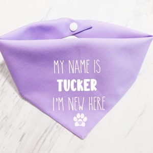 May include: Purple dog bandana with white text that reads "My name is Tucker I'm new here" and a white paw print with a heart in the centre.