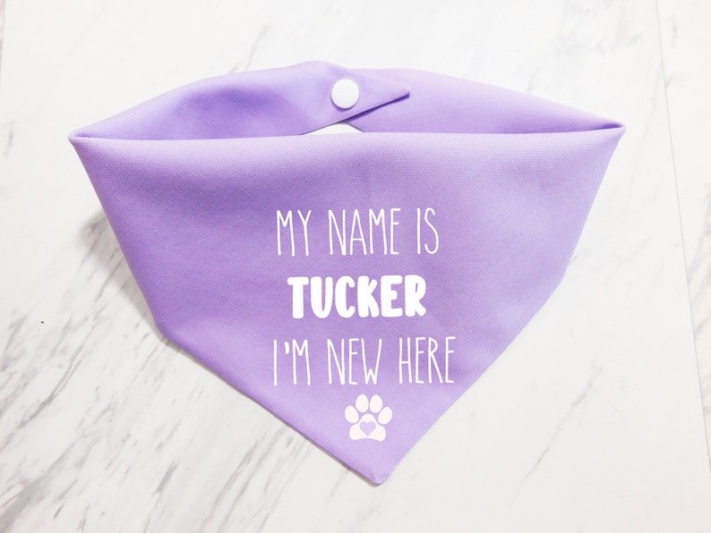 May include: Purple dog bandana with white text that reads "My name is Tucker I'm new here" and a white paw print with a heart in the centre.