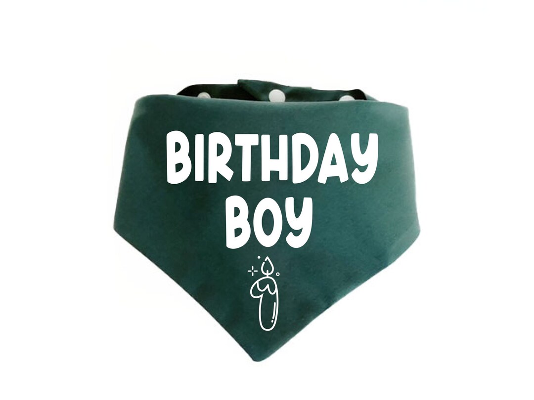Birthday Boy Dog Bandana Custom Birthday Dog Bandana Personalized