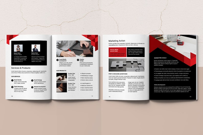 May include: A brochure with a red and white color scheme. The brochure features a business plan with sections for services and products, marketing action, and marketing goals. The brochure also includes images of people working on a laptop and a puzzle.