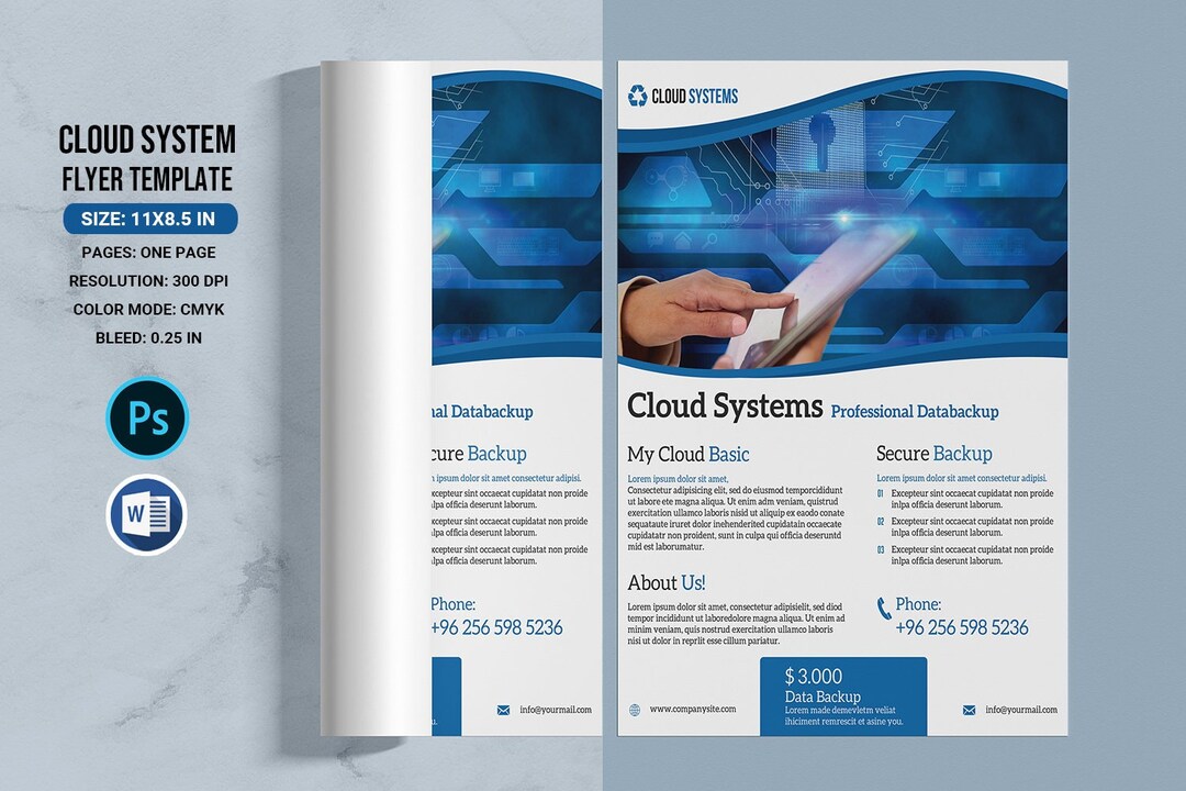 System Flyers Examples Cloud System Flyer Template, Printable Business Flyer Corporate Flyer ...