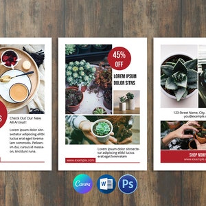多目的ポストカードテンプレート | ソーシャルメディアマーケティング | Photoshop & MS Word および Canva テンプレートの即時ダウンロード V01
