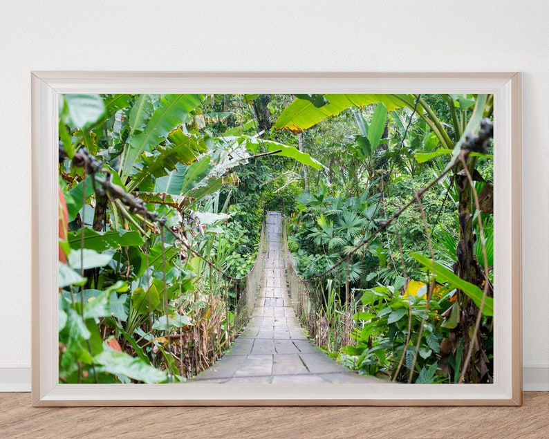 Jungle Photography Jungle Wall Decor Office Decor Jungle Etsy