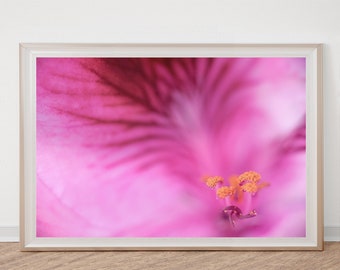 Flower Photography, Wall Art Photo, Flower Wall Art, Botanical Photo, Pink Flower, Flower Photo Prints, Pink Flower Print, Flower Print