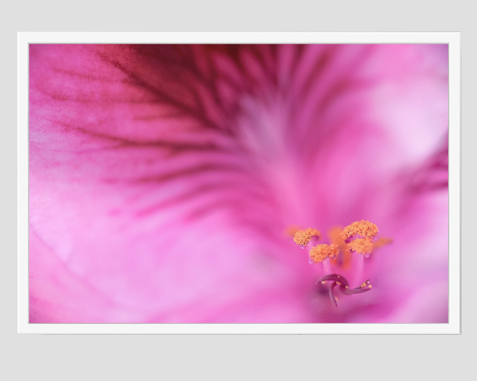 flower-photography-wall-art-photo-flower-wall-art-botanical-photo