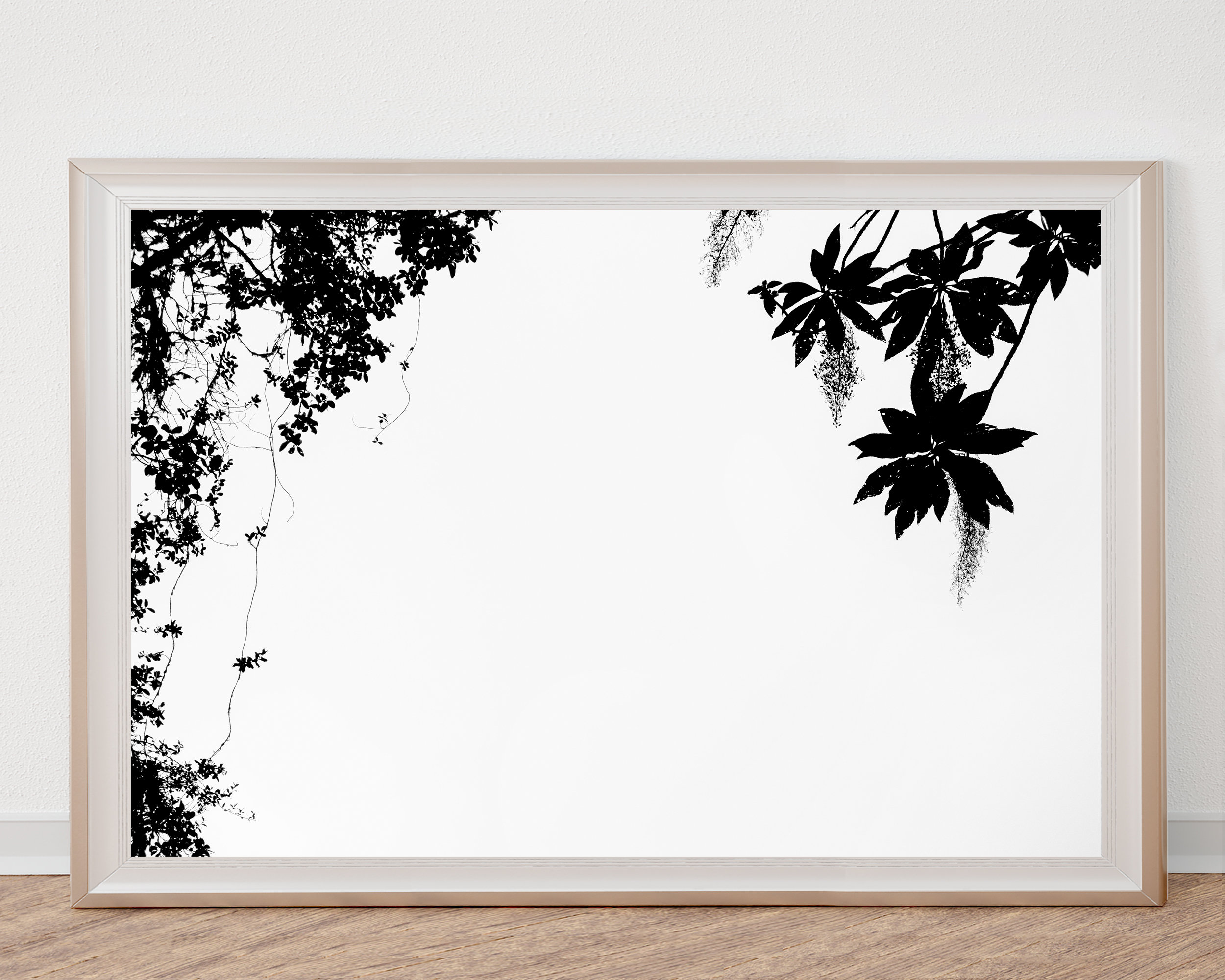 Silhouette Plant Silhouette Black and White Photo Black N - Etsy