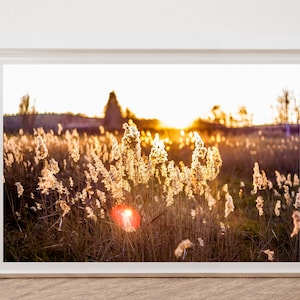 Sunset Art, Rays of Sun, Sunlight, Sunlight Photography, Summer Sunlight, Sunlight Print, Rustic Photography, Sunlight Overlay, Sunlight Art