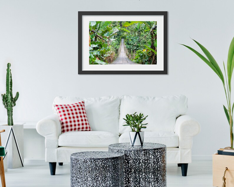 Jungle Photography Jungle Wall Decor Office Decor Jungle Etsy