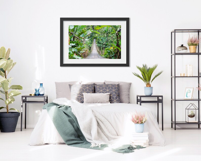 Jungle Photography Jungle Wall Decor Office Decor Jungle Etsy