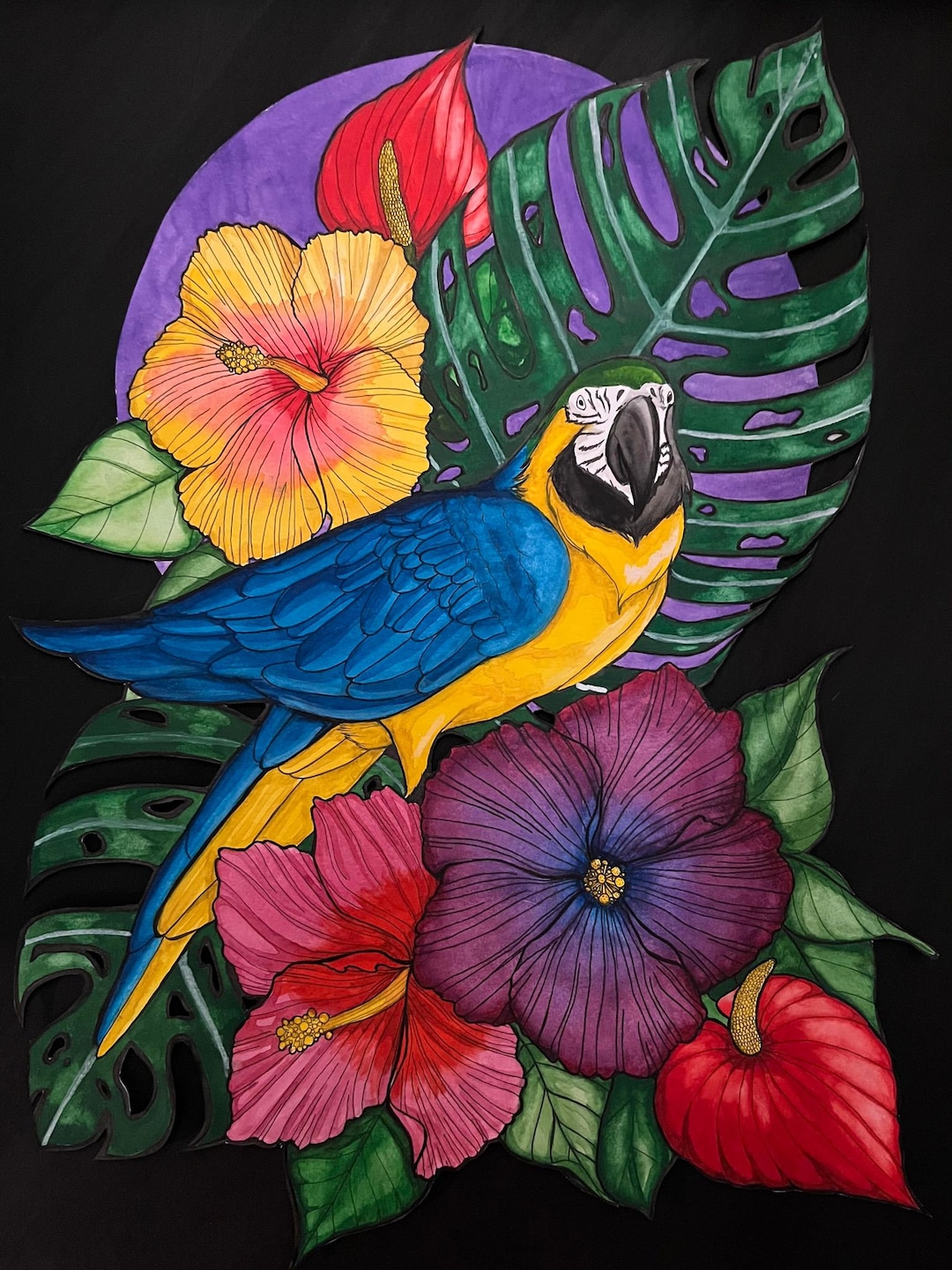 View of Blue and Gold Macaw - Etsy