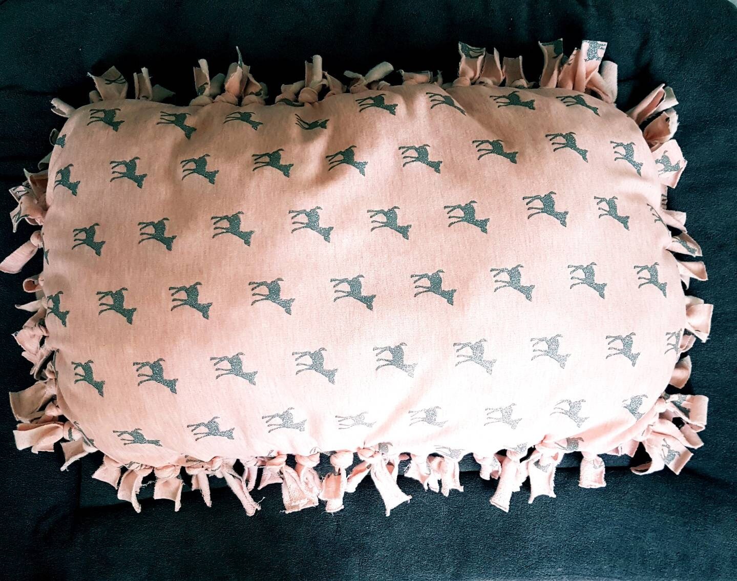 Gros Coussin A Nouettes