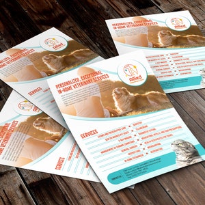 May include: A flyer for Allied Veterinary Care, a company offering personalised, exceptional in-home veterinary services. The flyer features a photo of a dog and a cat, and lists a range of services offered, including examinations, preventative care, sick and injured pet visits, dentistry, telemedicine, and more.