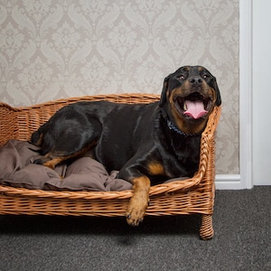 Luxury Wicker Pet Bed Settee