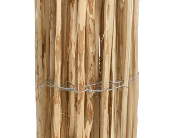 Picket Fence Hazel Wood