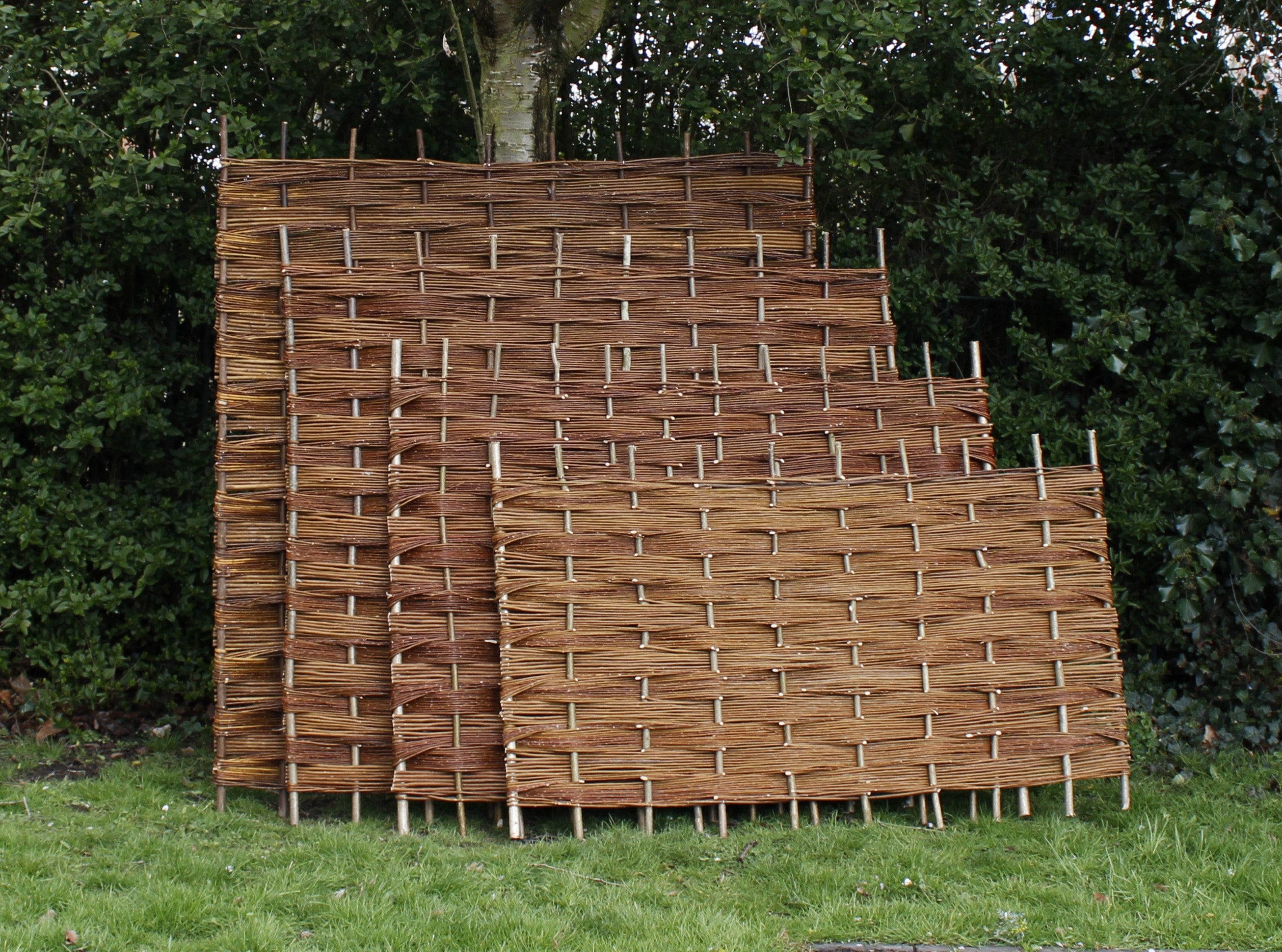 Willow fencing discount