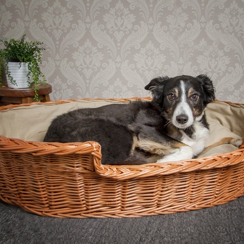 Luxury Wicker Dog Basket Dark Cushion Etsy