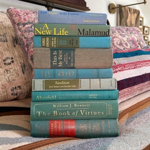 Vintage Teal Book Stack - 9 Titles