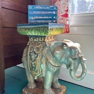 Peterson Field Guide Set of 4: Birds, Insects, Rocks/Minerals - Vintage Nature Books