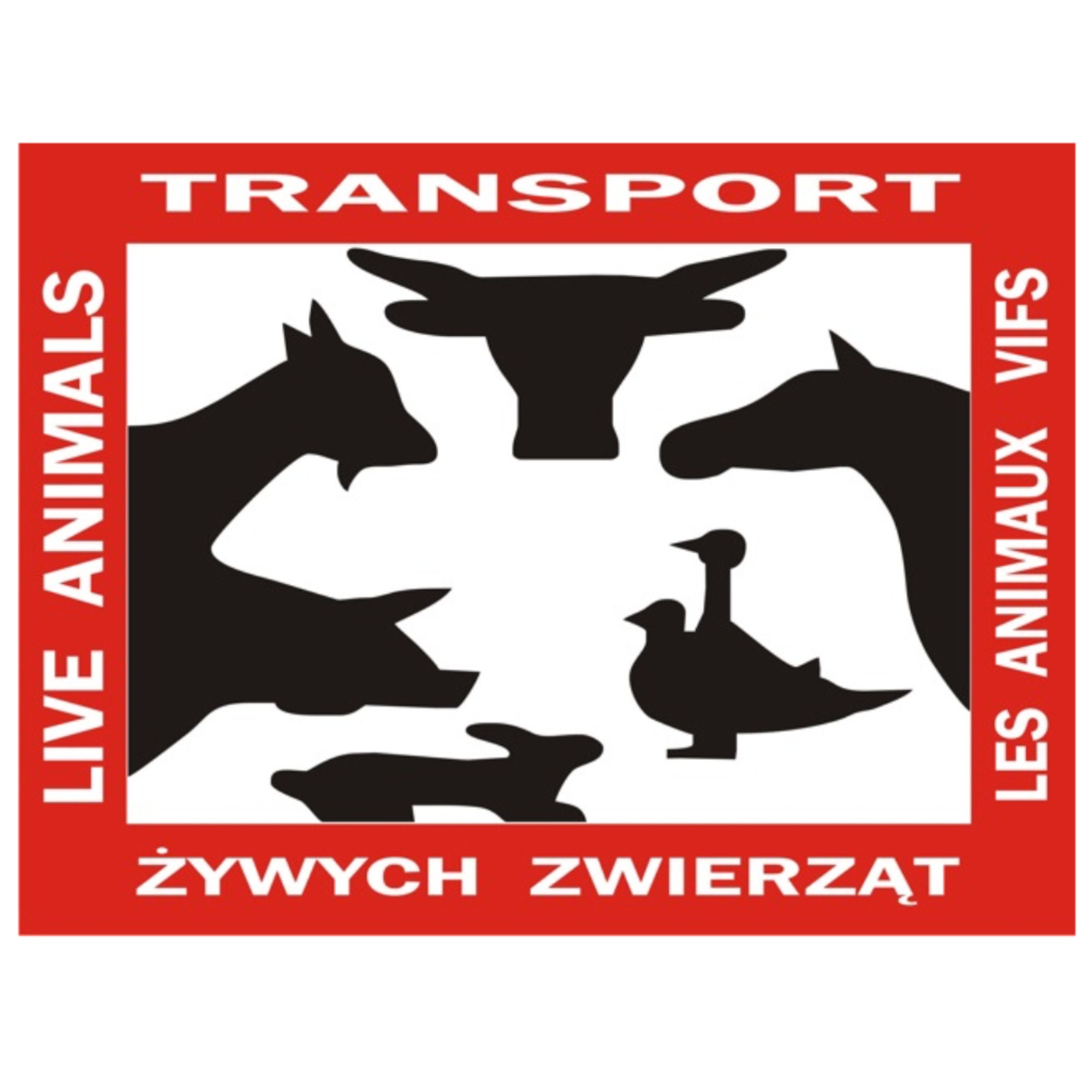 Sticker Live Animal Transport Transport Live Animals Etsy Singapore