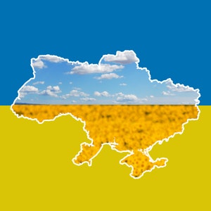 Contour Ukraine Digital Files PDF PNG SVG zdjęcie 1