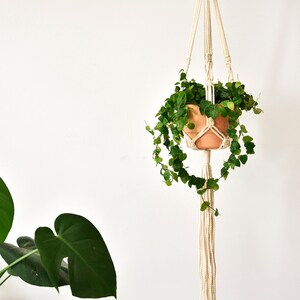 Small macrame plant hanger / natural white / suspended planter/ hanging flower pot / pot hanger / plant holder /natural cotton/Bruman Design image 2