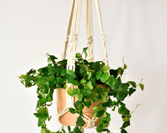 Small macrame plant hanger / natural white / suspended planter/ hanging flower pot / pot hanger / plant holder /natural cotton/Bruman Design