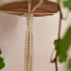 Adjustable macrame plant hanger / modern macrame / hanging flower pot / minimalistic / plant holder / wood / craft / bruman design image 9