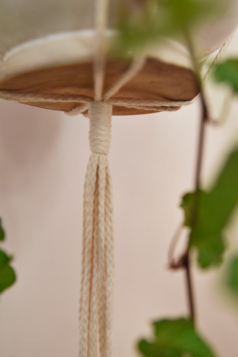Adjustable macrame plant hanger / modern macrame / hanging flower pot / minimalistic / plant holder / wood / craft / bruman design image 9