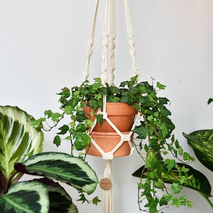White macrame plant hanger / suspended planter / home decor / hanging flower pot / pot hanger / plant holder / handmade / Bruman Design