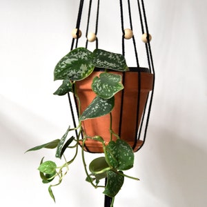 Adjustable macrame plant hanger / modern macrame / hanging flower pot / minimalistic / plant holder / wood / craft / bruman design image 3