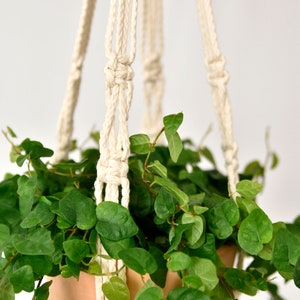 Small macrame plant hanger / natural white / suspended planter/ hanging flower pot / pot hanger / plant holder /natural cotton/Bruman Design image 3